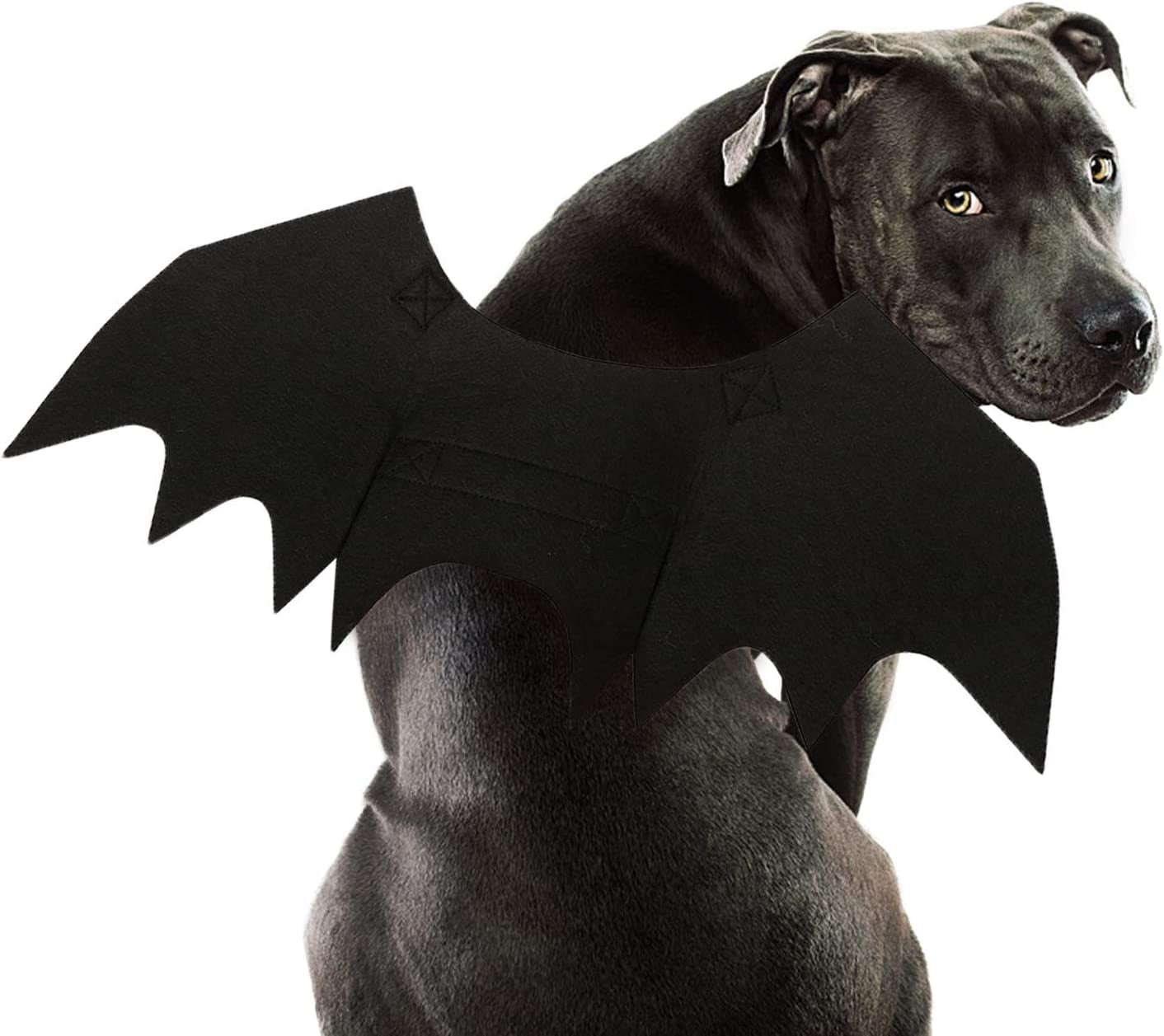 Dog Bat Costume - Halloween Pet Costume Bat Wings Cosplay Dog Costume Cat Costume for Party